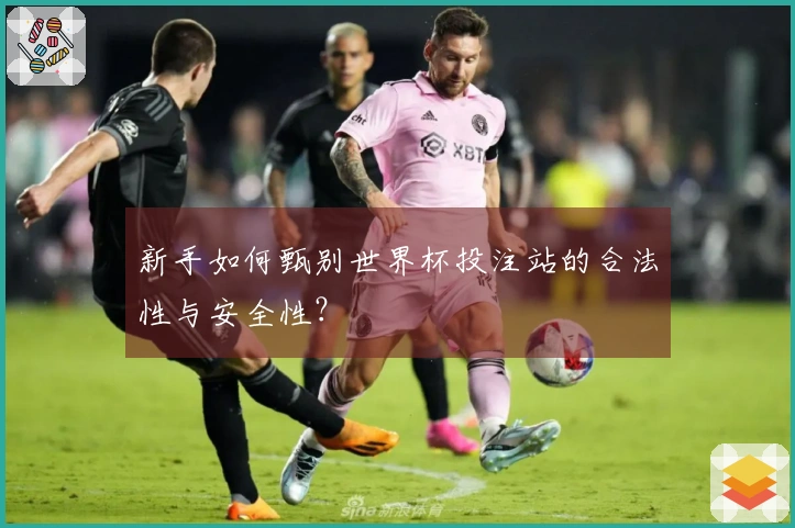 新手如何甄别世界杯投注站的合法性与安全性？