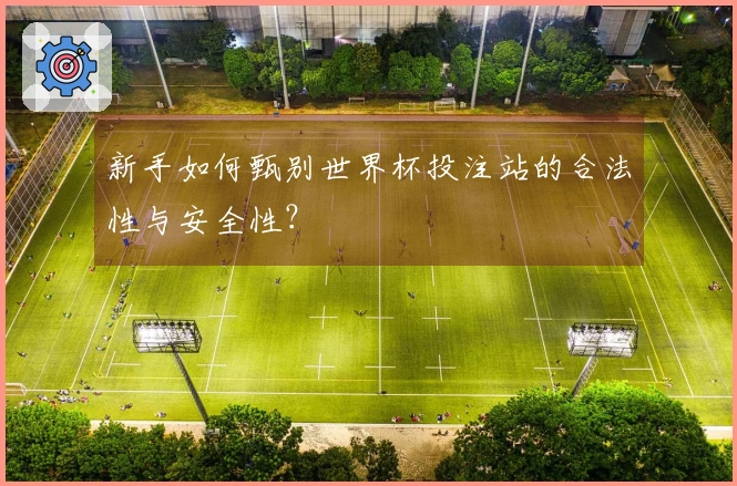 新手如何甄别世界杯投注站的合法性与安全性？