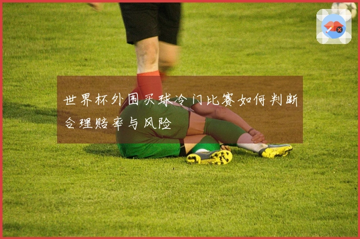 世界杯外围买球冷门比赛如何判断合理赔率与风险 
